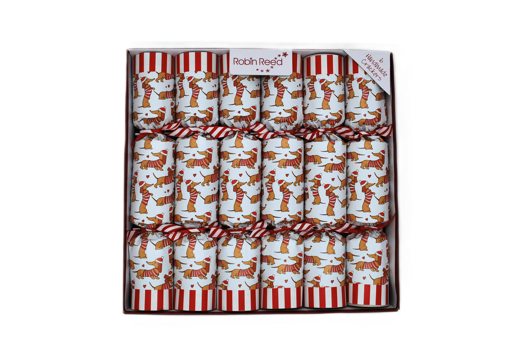 Racing Sausage Dogs (6x33cm)